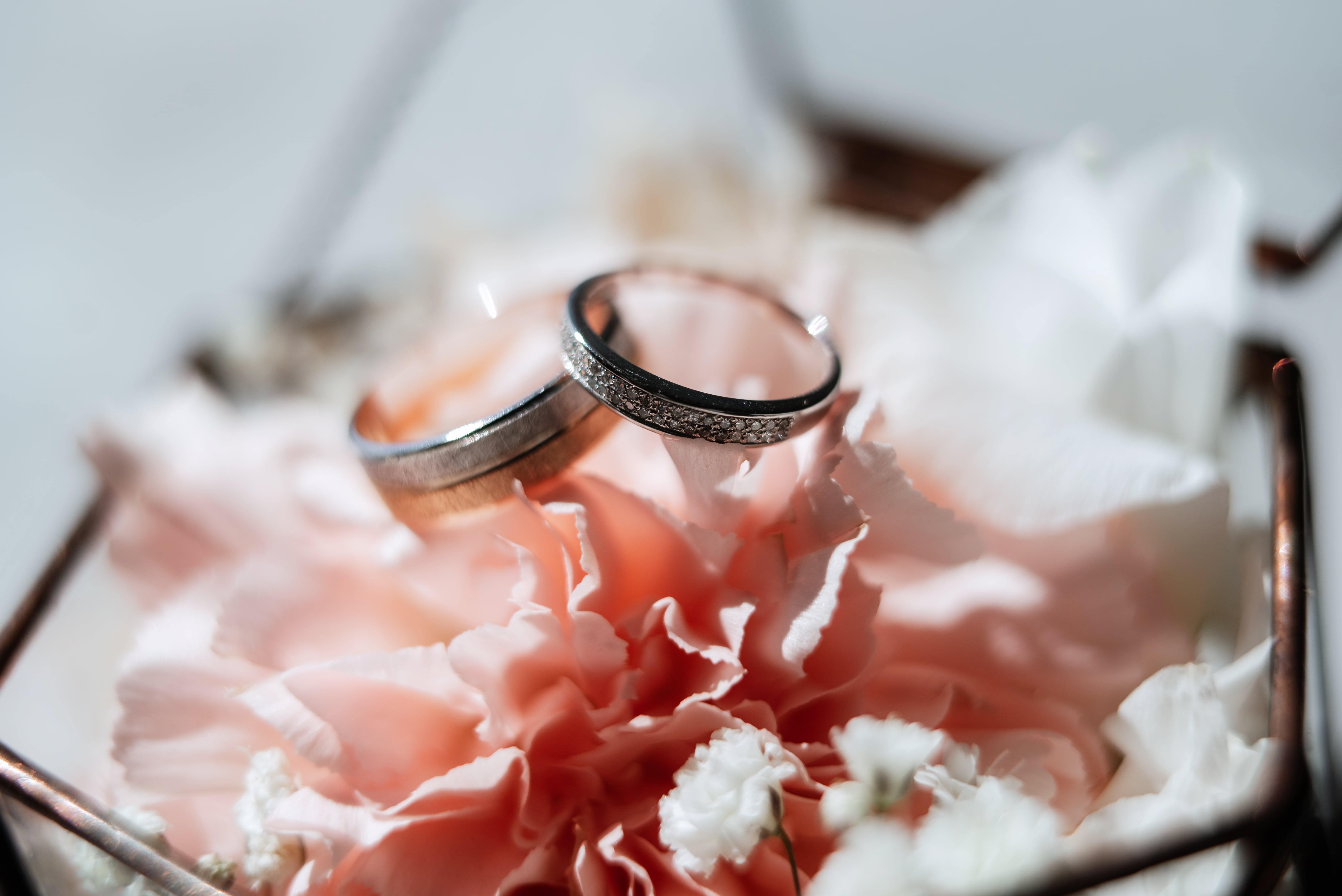 Elegant Wedding Rings